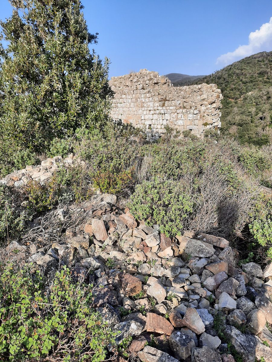 Rovine del Castello di Dolia, chiamato anche Castellaccio, a Terriccio