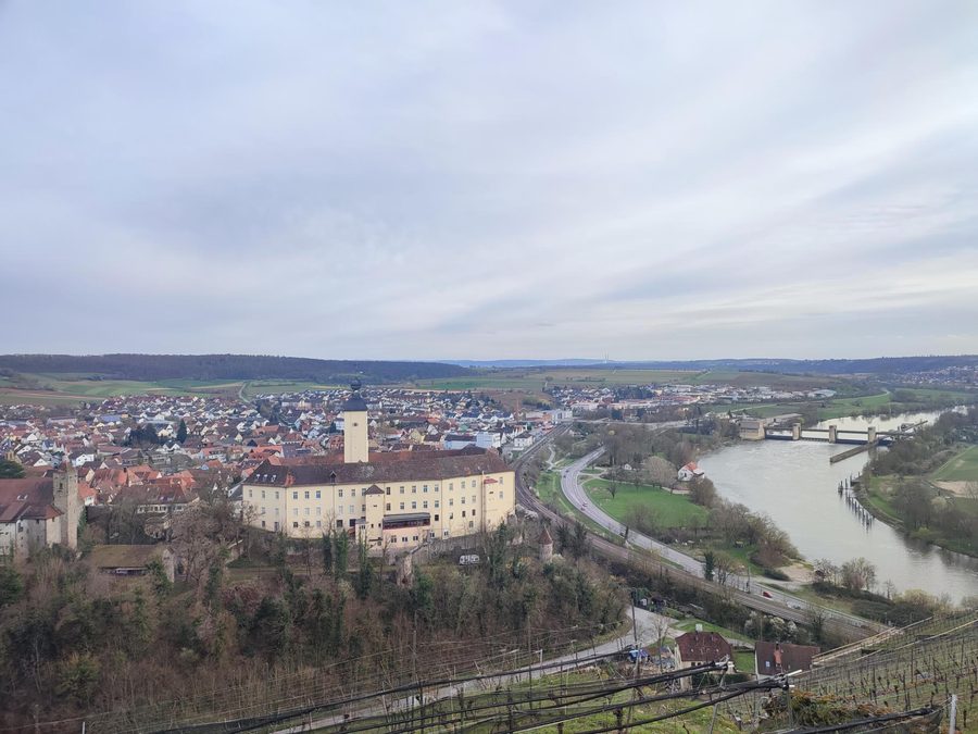Vista dal Michaelsberg sul castello Horneck, Gundelsheim e il Neckar