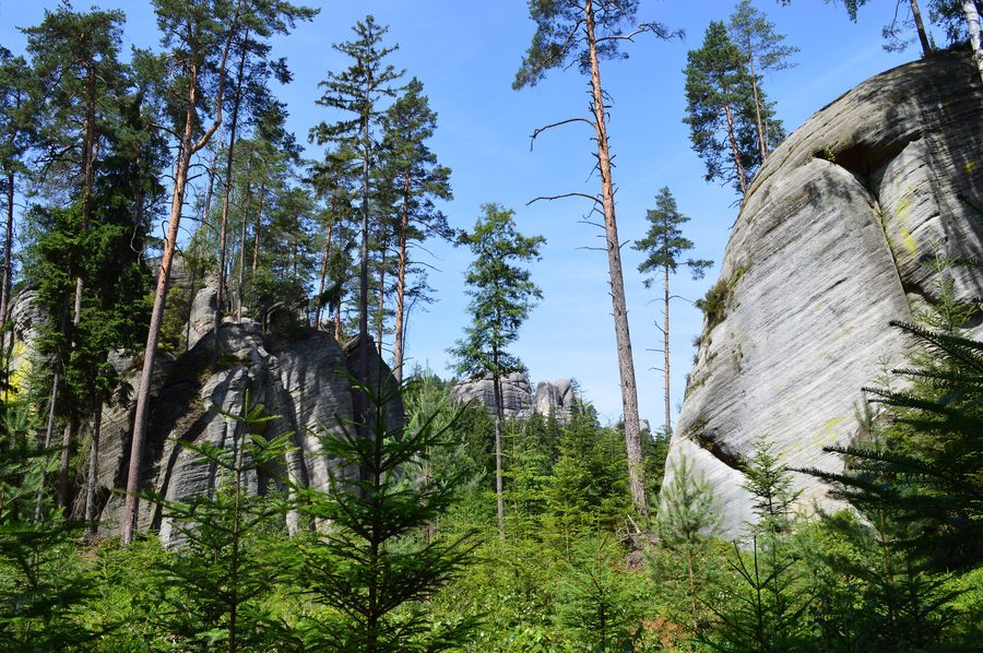 Rocce di arenaria nella città delle rocce di Adršpach e Teplice in Repubblica Ceca