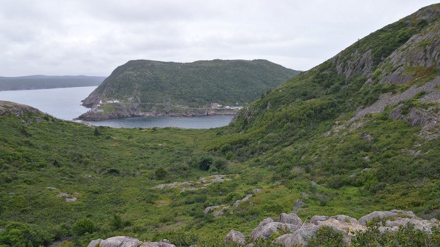 Vista su St. John's da Signal Hill