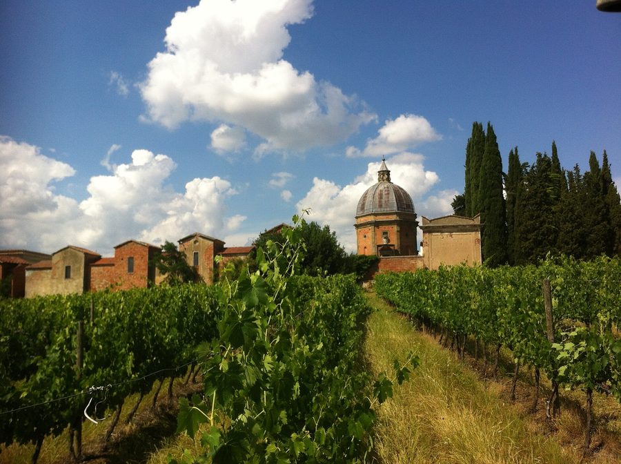 Tempio Santo Stefano della Vittoria a Pozzo della Chiana davanti ai vigneti