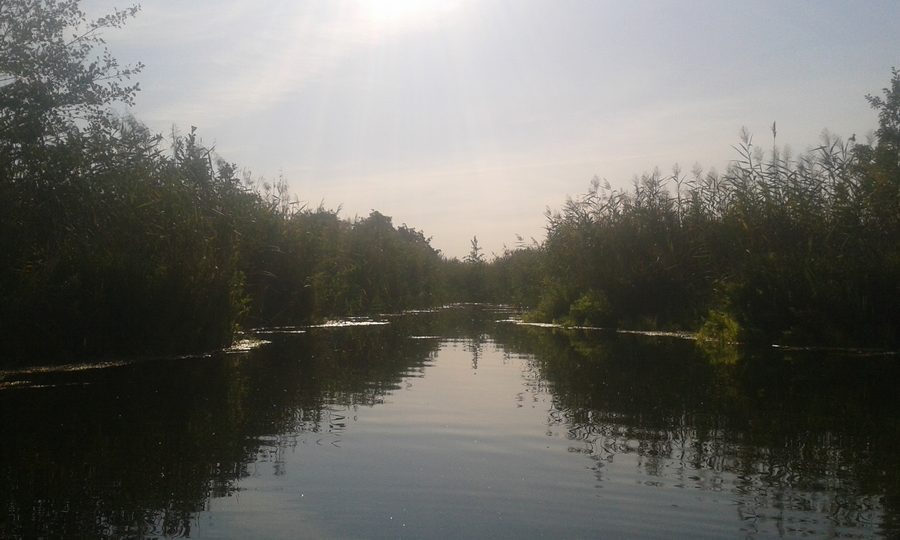 Area rivierasca sul Parsteiner See nella riserva della biosfera Schorfheide-Chorin