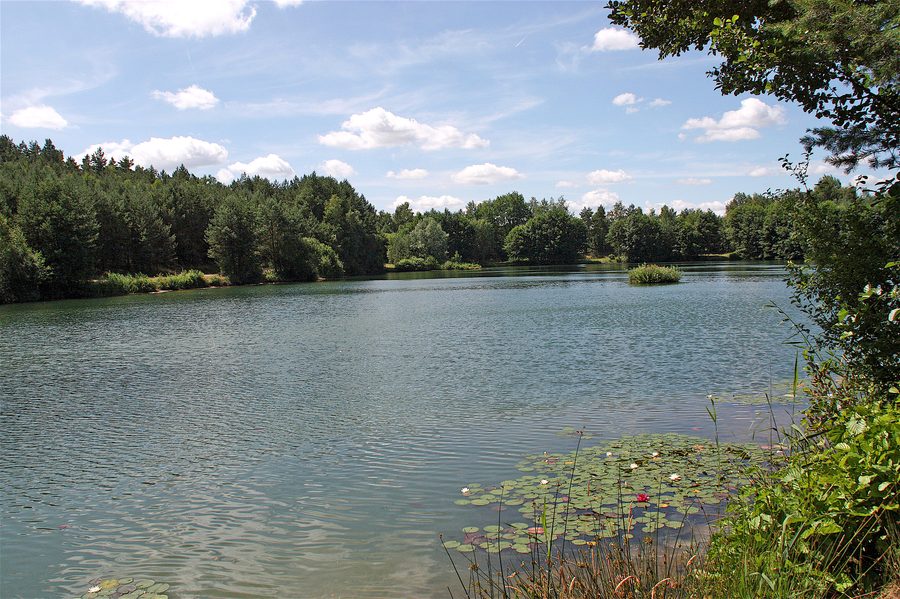 Lago di ghiaia presso Vierhöfen all’estremità orientale della brughiera di Lüneburg
