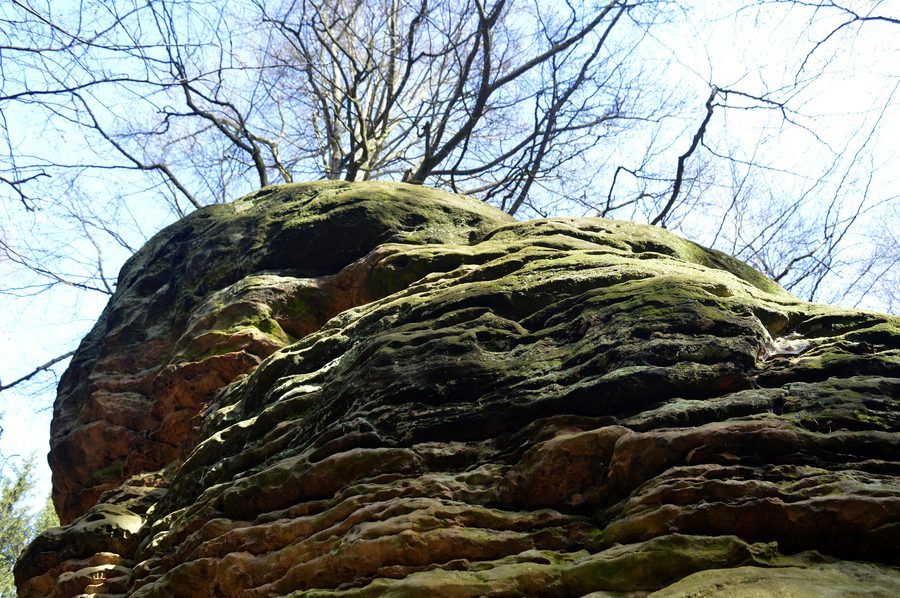 Formazioni rocciose alle scogliere di Bodenstein nell’area protetta del paesaggio Bodensteiner Klippen und Klein Rhüdener Holz
