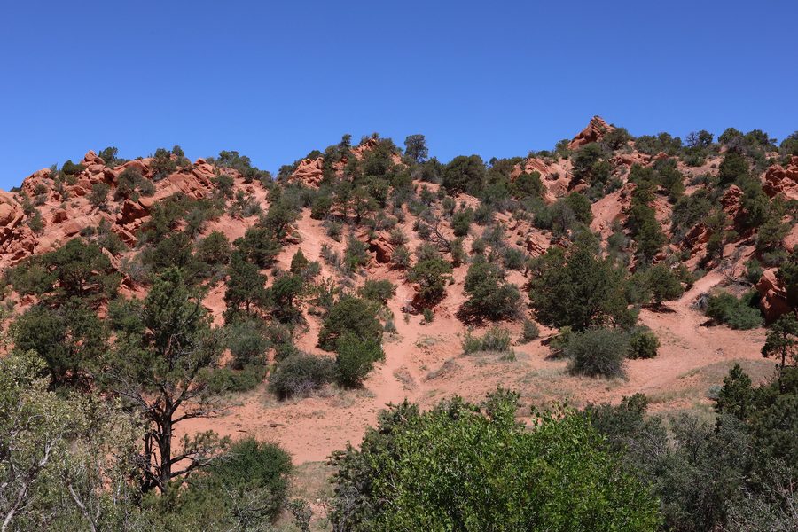 Formazioni rocciose rosse e aspre con alberi verdi nello Utah