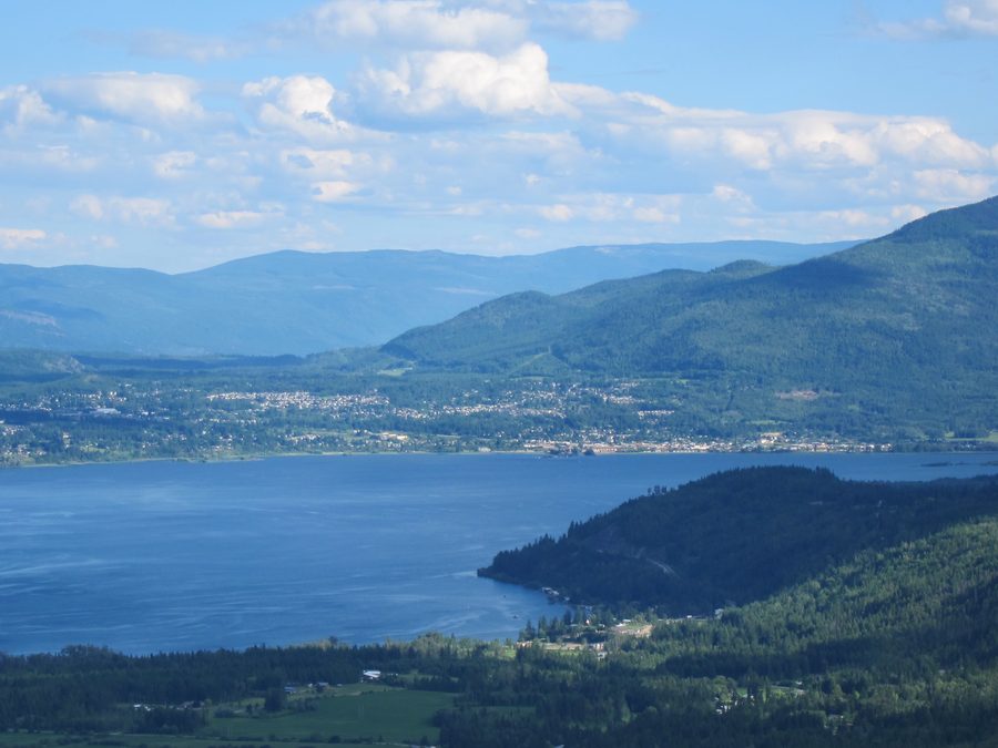 Vista dalle Tappen Bluffs su Salmon Arm e il lago Shuswap in British Columbia