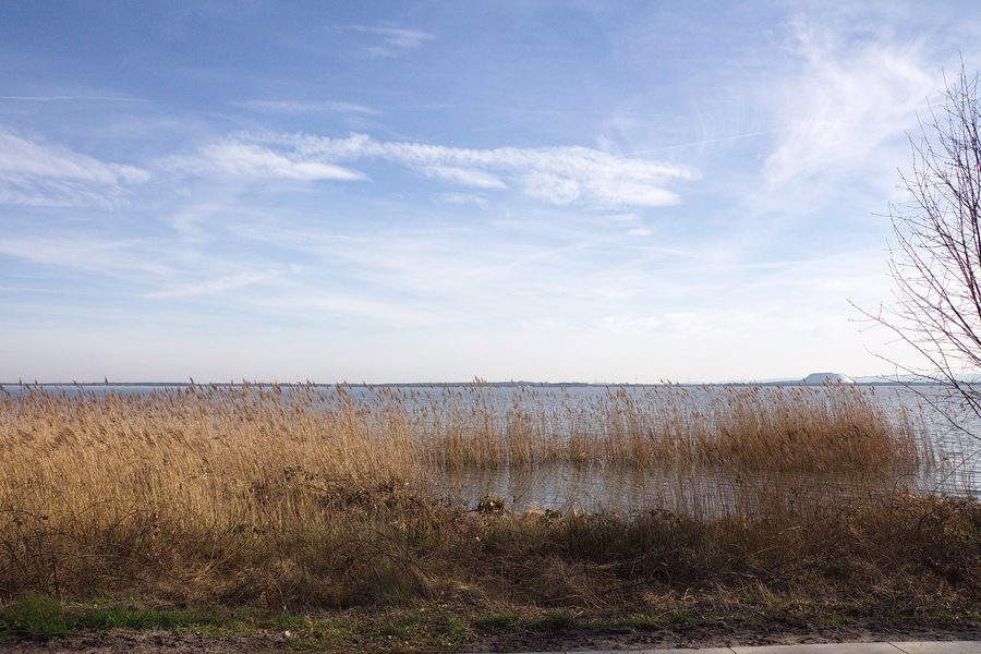 Area paesaggistica protetta Steinhuder Meer presso Mardorf in Bassa Sassonia