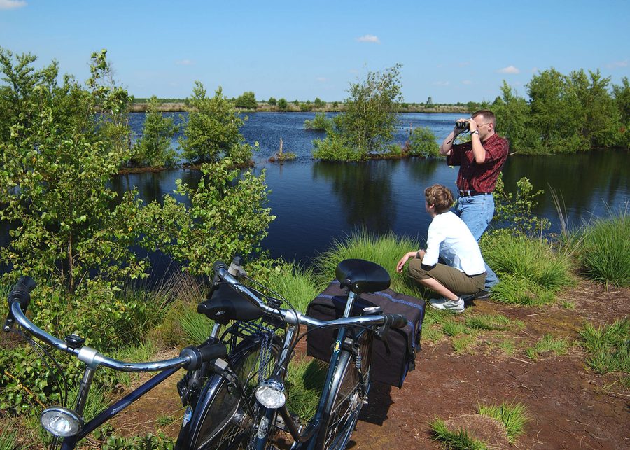 Vista sulla Bourtanger Moor-Bargerveen