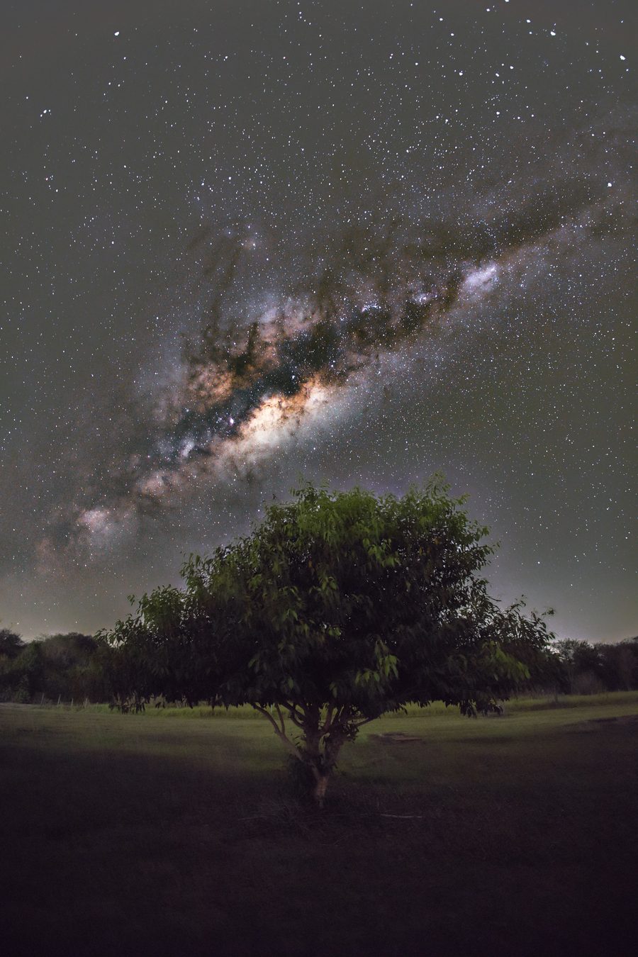 Paesaggio del Parque Estadual do Aguapeí, situato anch’esso a São João do Pau D'Alho, São Paulo