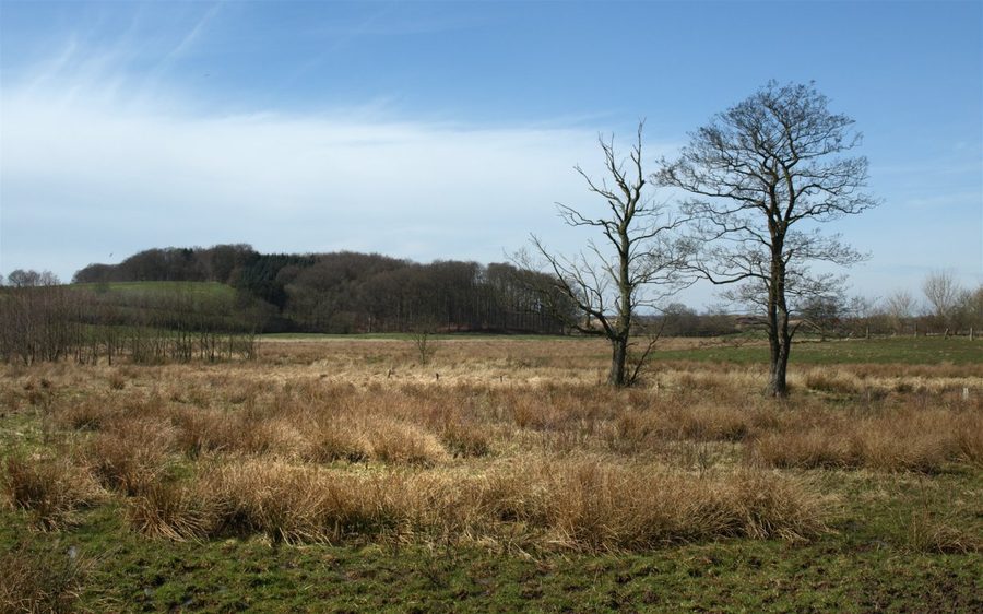 Valle dell’alto corso dell’Eider nello Schleswig-Holstein