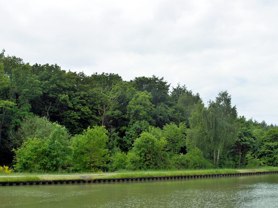 Area di paesaggio protetto Fohlenstall nel bosco di Haste presso il canale Mittelland