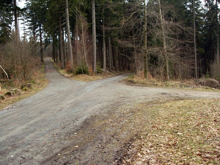 Sentiero nel bosco presso Wilhelmsfeld con vista sulla Teltschikturm
