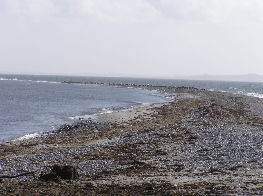 Estremità meridionale di Sejerø con paesaggio costiero