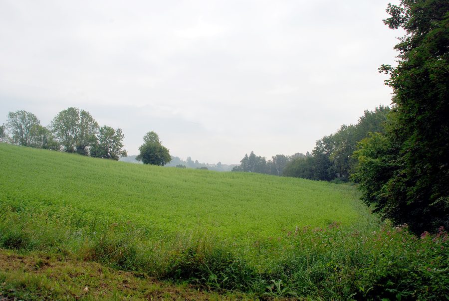 Paesaggio presso Tobis a Preding in Stiria occidentale