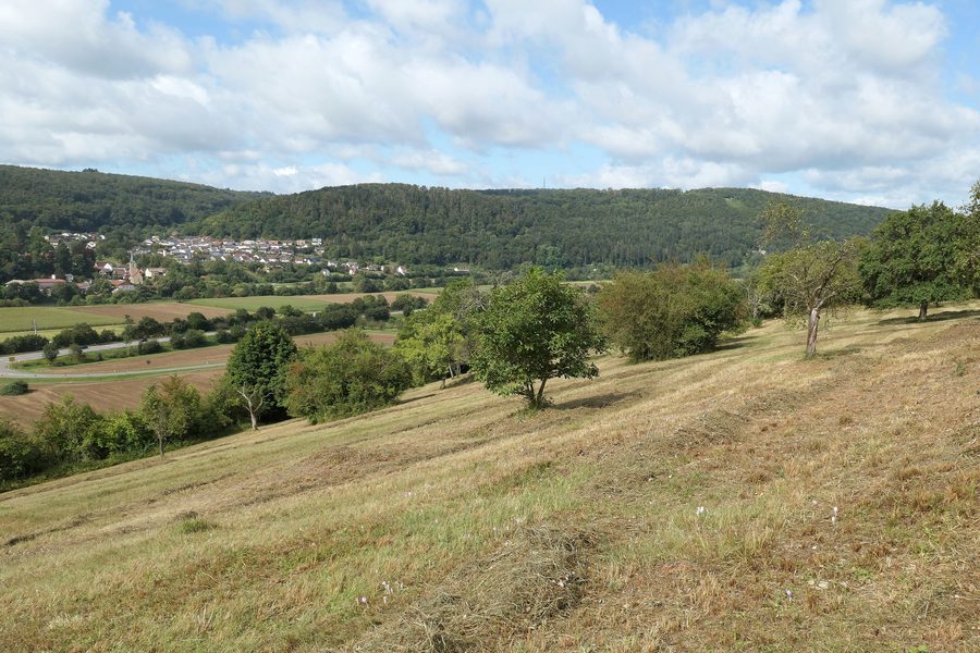 Riserva naturale Auweinberge-Fuchsenloch presso Mosbach con vista su Hochhausen e la valle del Neckar