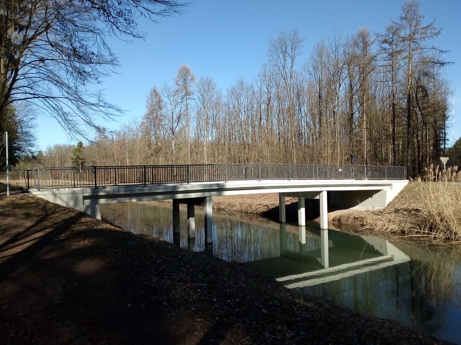 Ponte sul canale di alleggerimento della Pfinz nell'Hardtwald presso Leopoldshafen