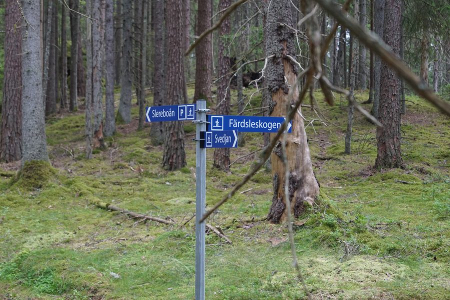Riserva naturale Slereboåns dalgång a Risveden, comune di Ale