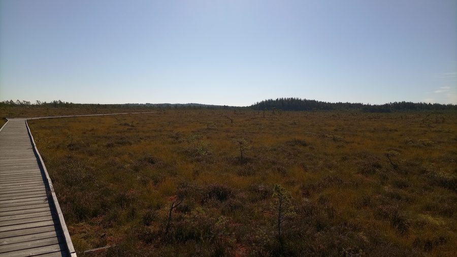Passerella di legno attraverso la zona palustre di Stora Mosse nel comune di Gnosjö