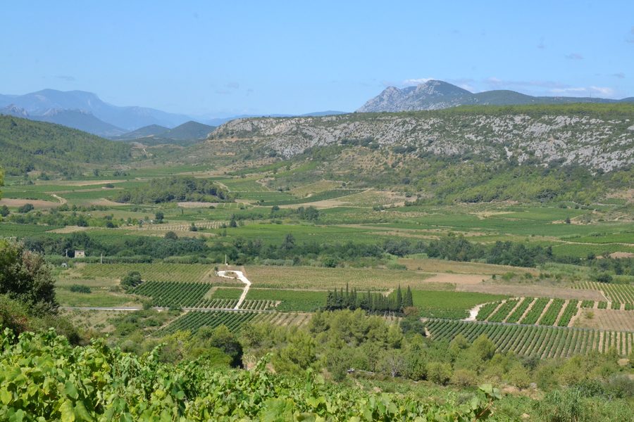 Paesaggio della valle del Verdouble presso Tautavel