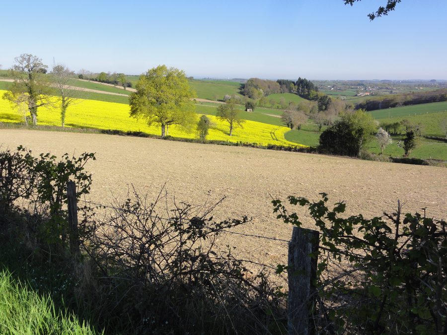 Paesaggio rurale a Bussières-près-Pionsat, nel Puy-de-Dôme