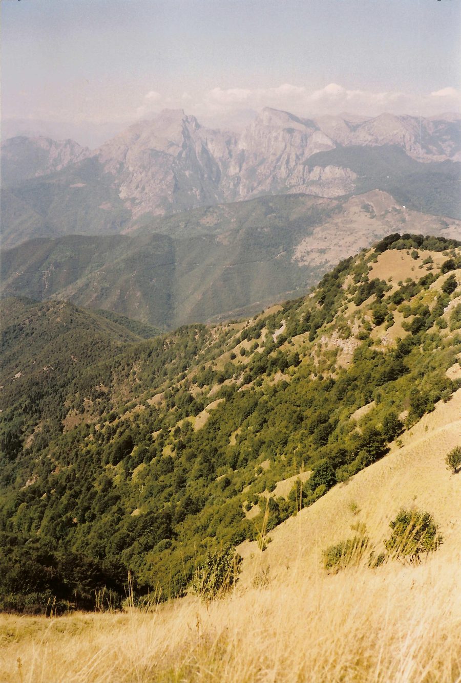 Vista dal Monte Ceppo verso il Monte Toraggio e il Monte Pietravecchia