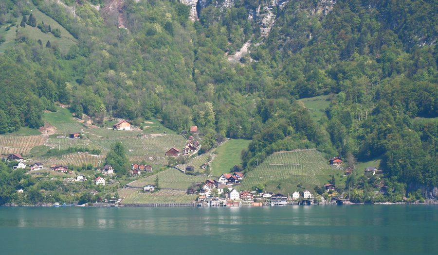 Quinten sul Lago di Walen davanti allo sfondo montano