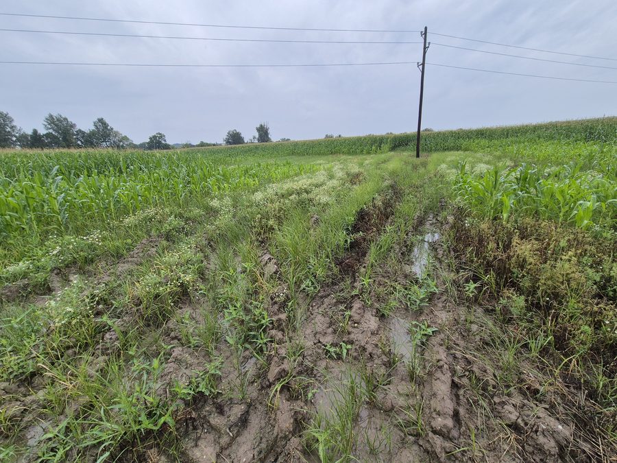 Paesaggio agricolo tra Göllersdorf e Großstelzendorf nel distretto di Hollabrunn