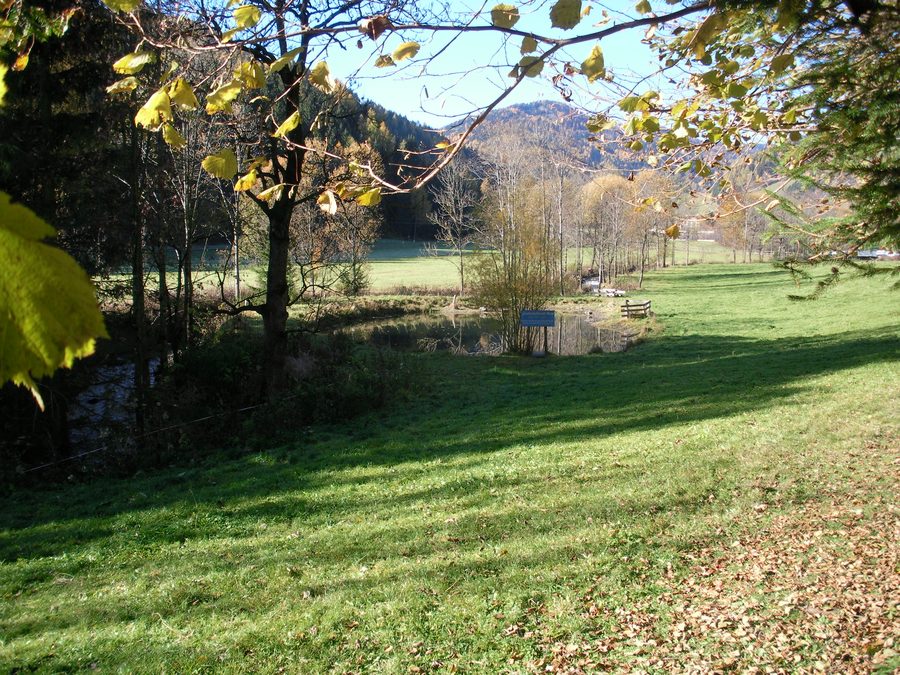 Laghetto paesaggistico Moschitz a Oberzeiring davanti a un paesaggio montano boscato