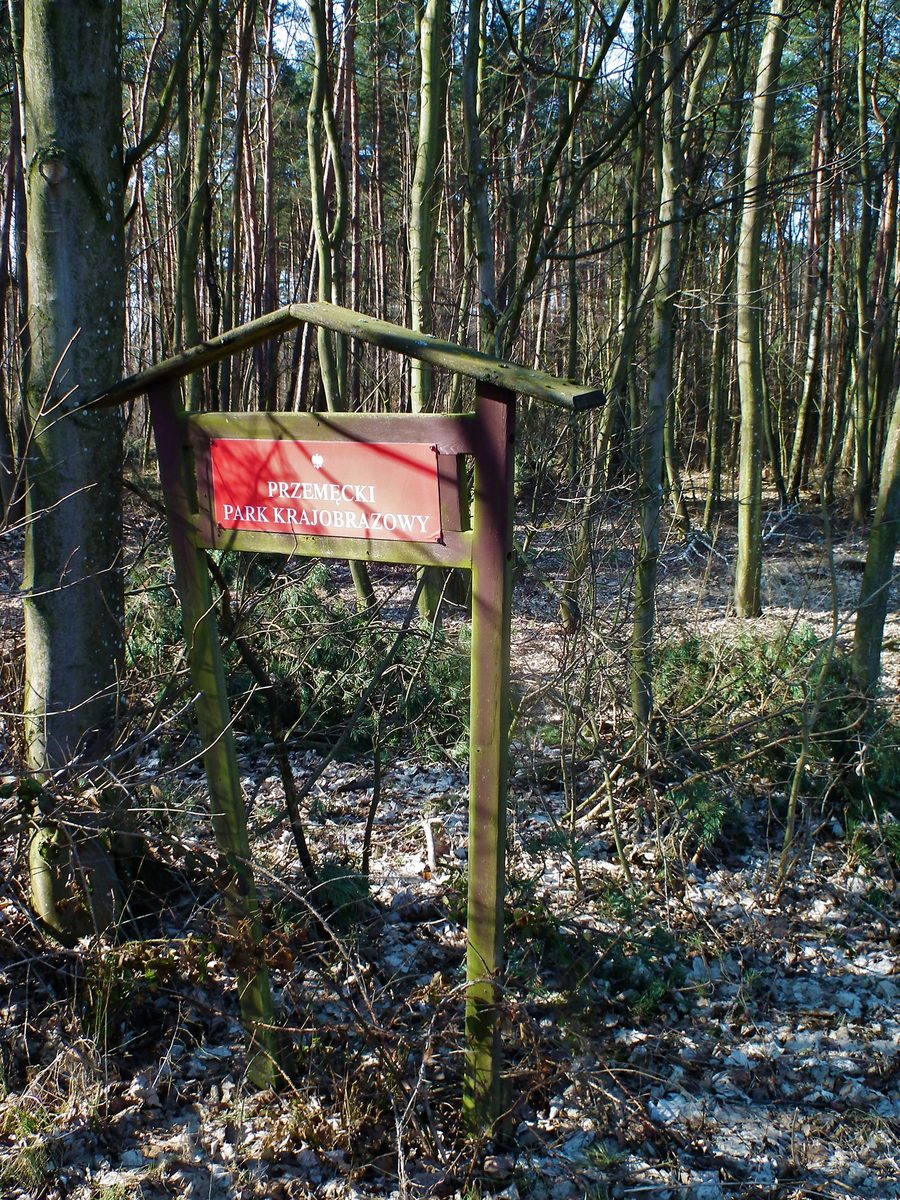 Paesaggio del Parco paesaggistico di Przemęt nei pressi di Zbarzewo