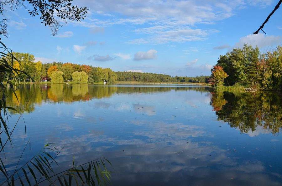 Lago Sonnensee presso Flachslanden nel paesaggio rurale della Media Franconia