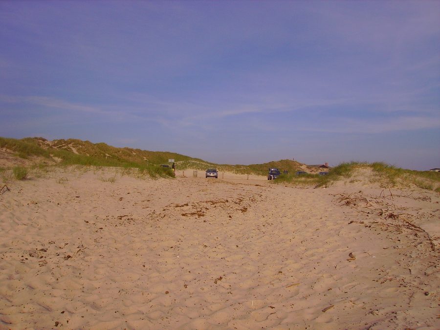Spiaggia di Henne Strand con area sabbiosa e dune