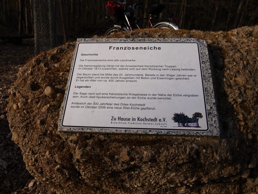 Targa informativa alla Franzoseneiche a Dessau-Kochstedt