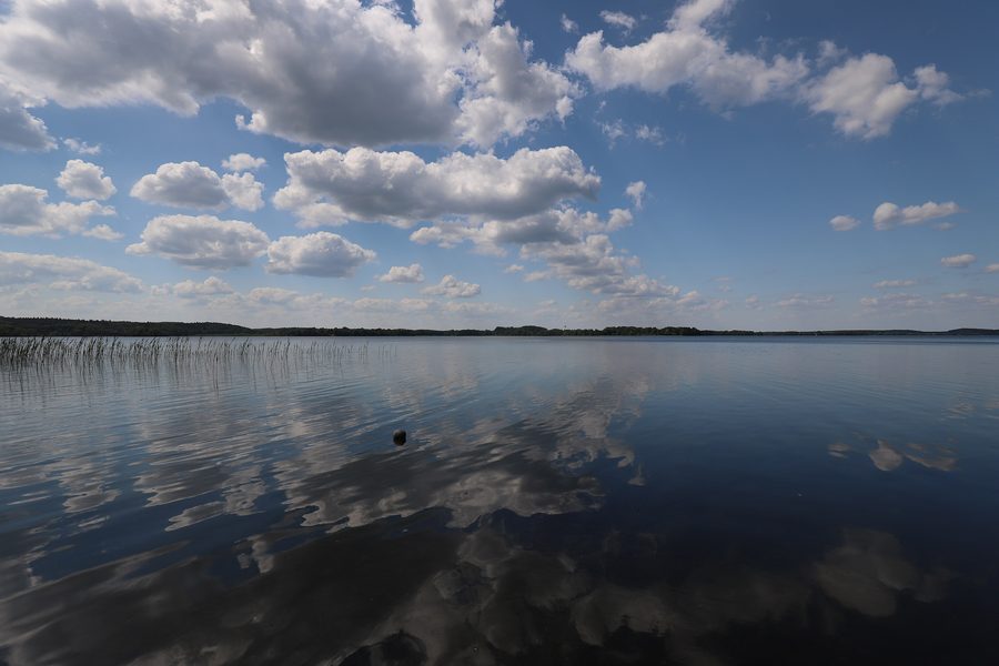 Vista sul Parsteiner See nel Brandeburgo