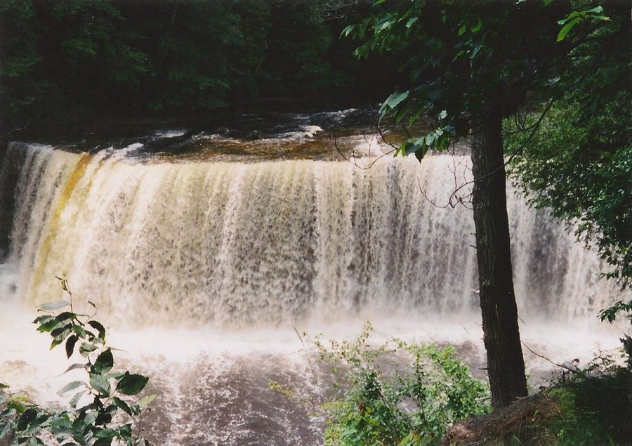 Tahquamenon Falls in una zona boscosa della contea di Luce, Michigan