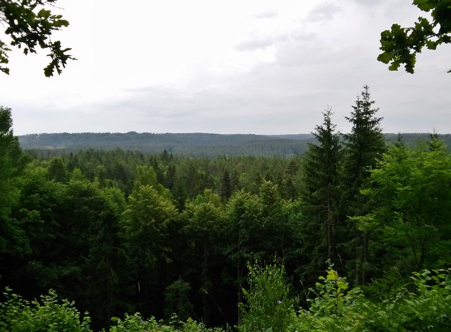 Vista sul Parco nazionale della Gauja dalla collina di Rūsiņš