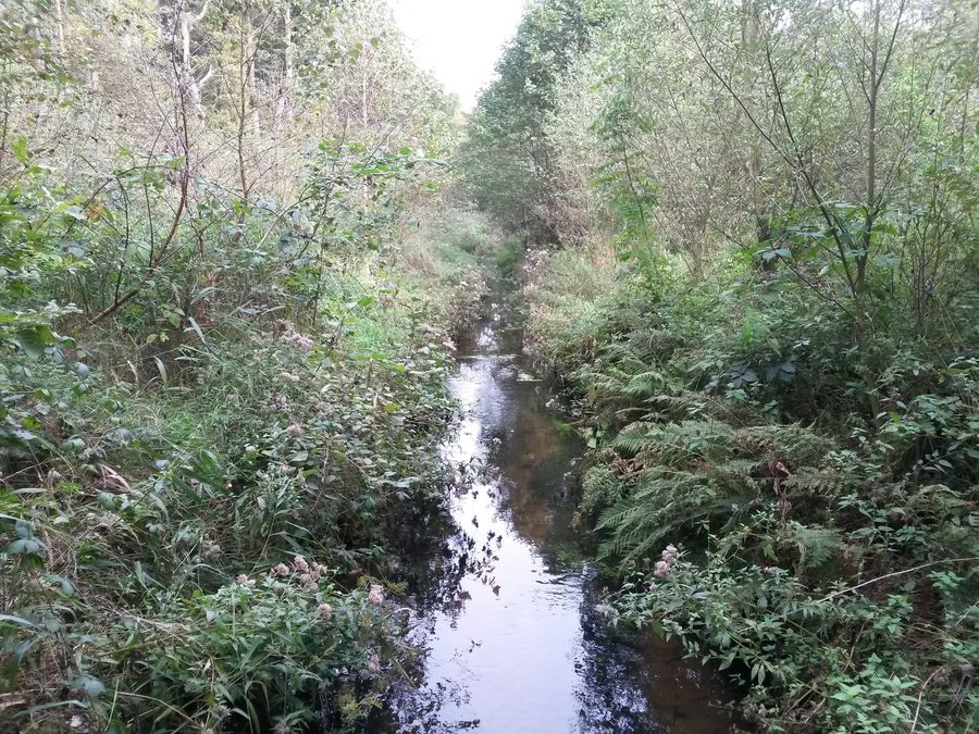 Fiume Fintau nell'ambiente rurale di Fintel