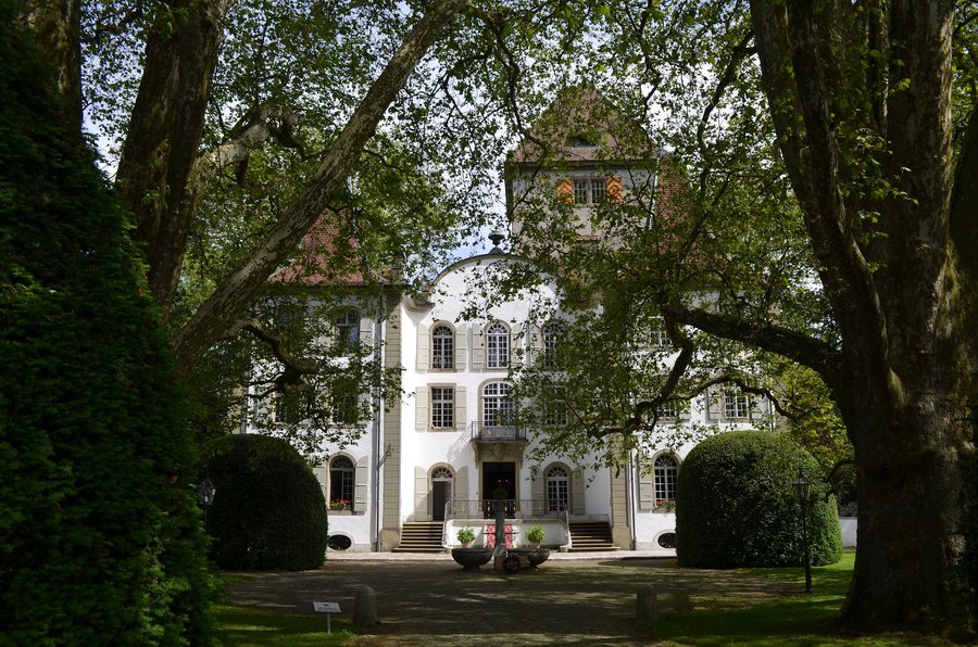 Castello di Jegenstorf nel Cantone di Berna