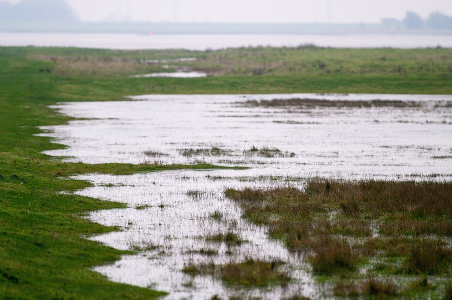 Prati di marcia allagati nel Katinger Watt sull’Eider