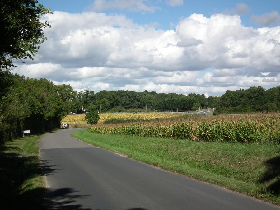 Paesaggio a Breuillet, Charente-Maritime