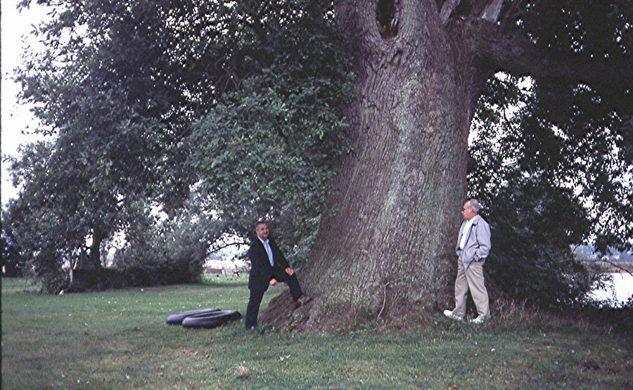 Grande quercia nei pressi di Beuvardes