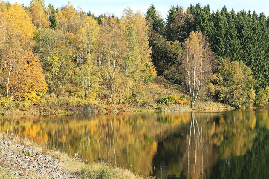 Talsperre Eibenstock nel paesaggio boscoso dei Monti Metalliferi in Sassonia