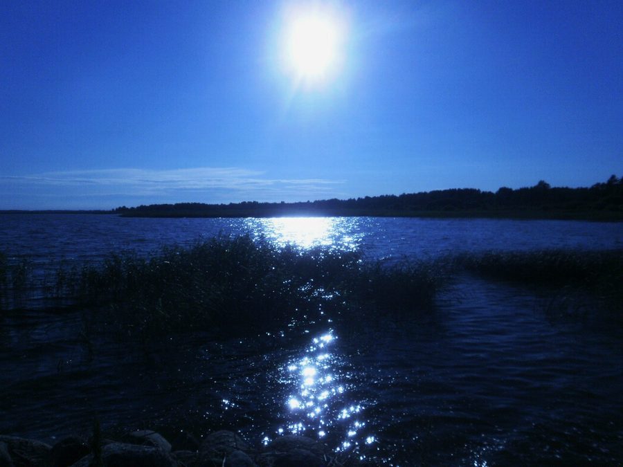 Riva del Võrtsjärv presso Vaibla in Estonia