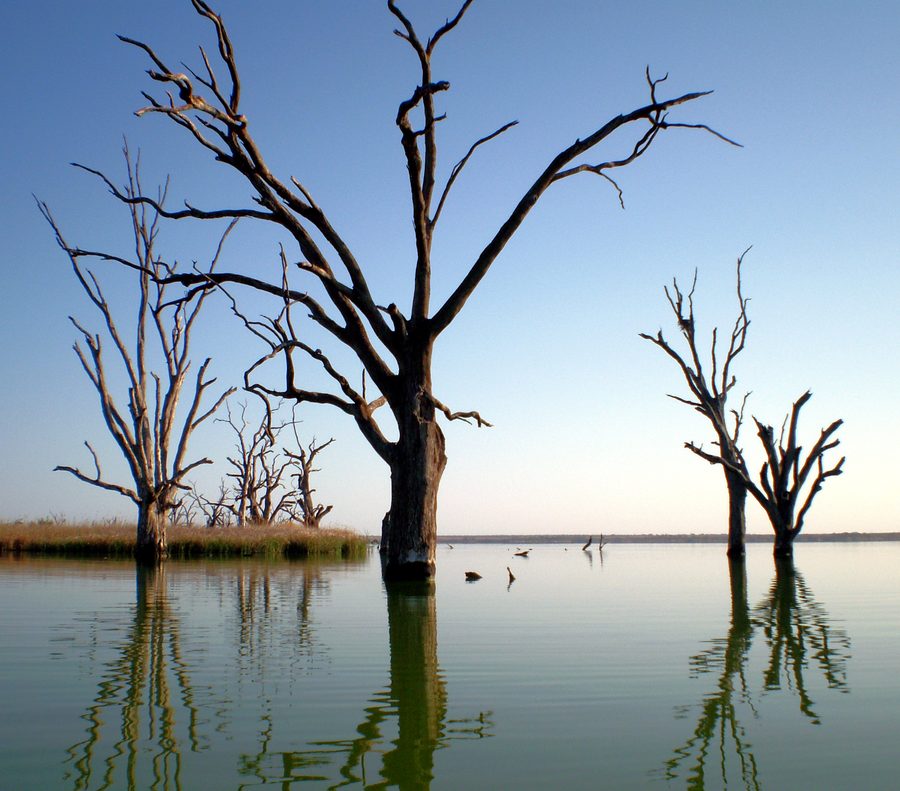 Lake Bonney presso Barmera nel South Australia