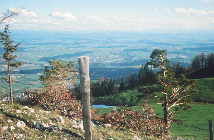 Vista sui villaggi del Wasseramt dal Niederwiler Stierenberg.