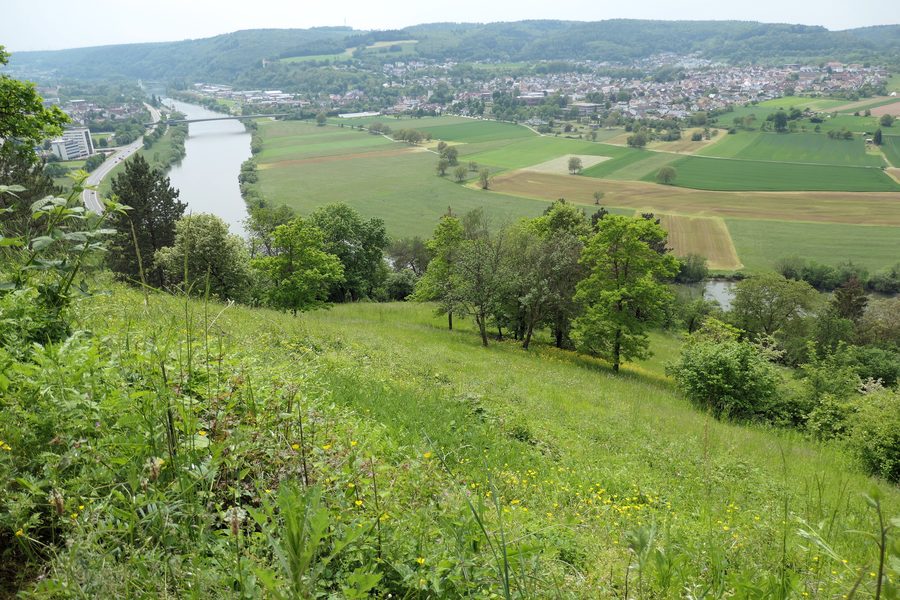 Vista sulla valle del Neckar verso Obrigheim e le pendici boscose dell’Odenwald