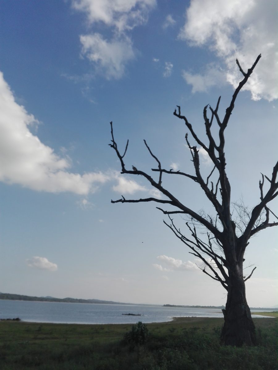 Paesaggio in Sri Lanka