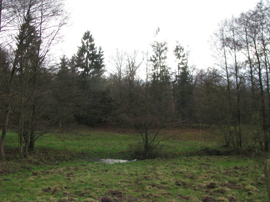Valle del torrente Ingelheim a sud-est di Staufenberg-Nienhagen nel Kaufunger Wald
