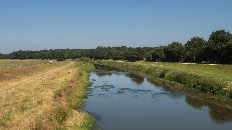 La Hase tra Haselünne e Dohren in un paesaggio fluviale verde