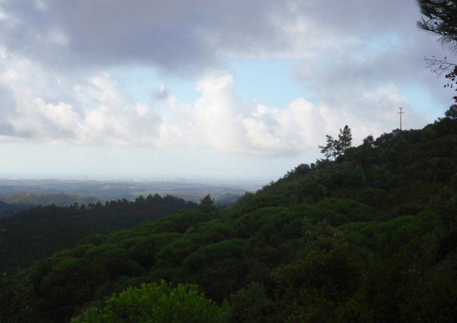 Valle boscosa di Caldas de Monchique vista da un punto panoramico vicino