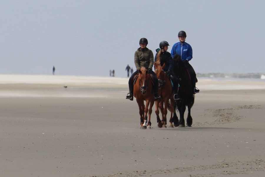 Cavaliere sulla vasta spiaggia di Schiermonnikoog davanti al paesaggio dunale